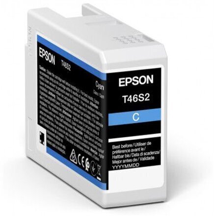 Epson UltraChrome Pro 10 ink T46S2 Ink c hind ja info | Tindiprinteri kassetid | hansapost.ee