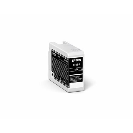 Epson UltraChrome Pro 10 ink T46S8 Ink c цена и информация | Tindiprinteri kassetid | hansapost.ee