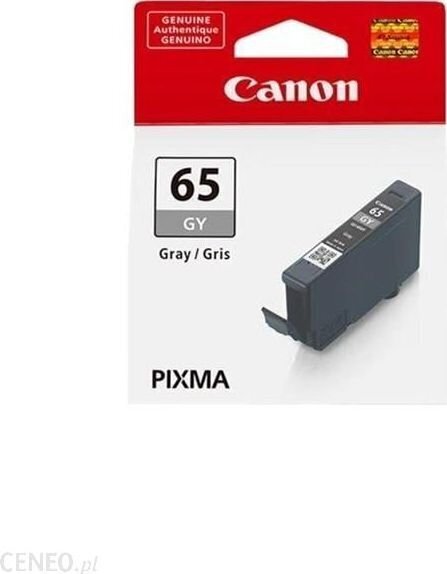 CANON CLI-65 GY EUR/OCN Ink Cartridge цена и информация | Tindiprinteri kassetid | hansapost.ee