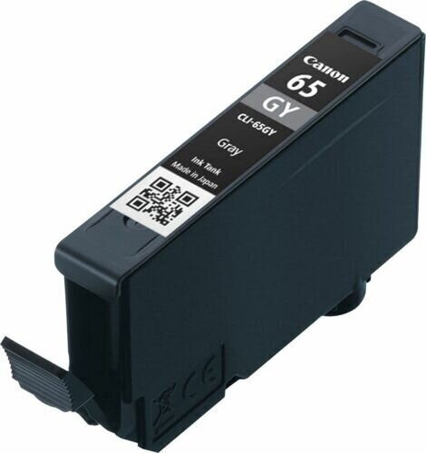 CANON CLI-65 GY EUR/OCN Ink Cartridge цена и информация | Tindiprinteri kassetid | hansapost.ee