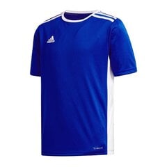 Poiste spordisärgid, adidas Entrada 18 Jr CF1049 hind ja info | Särgid poistele | hansapost.ee