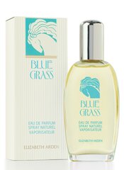 Elizabeth Arden Blue Grass EDP naistele 100 ml hind ja info | Parfüümid naistele | hansapost.ee