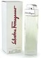 Salvatore Ferragamo Pour Femme EDP naistele 100 ml цена и информация | Parfüümid naistele | hansapost.ee