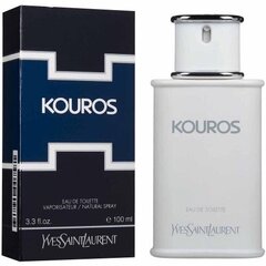 Yves Saint Laurent Kouros EDT meestele 100 ml hind ja info | Parfüümid naistele | hansapost.ee