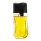 Estée Lauder Knowing EDP naistele 75 ml цена и информация | Parfüümid naistele | hansapost.ee