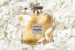 Parfüümvesi Chanel Gabrielle EDP naistele 100 ml цена и информация | Parfüümid naistele | hansapost.ee