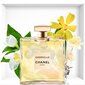 Parfüümvesi Chanel Gabrielle EDP naistele 100 ml цена и информация | Parfüümid naistele | hansapost.ee