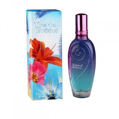 Ароматизированная вода Real Time Tropical Breeze EDP для женщин 100 мл цена и информация | Женские духи | hansapost.ee