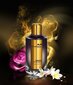 Parfüümvesi Mancera Amber & Roses - EDP 120 ml цена и информация | Parfüümid naistele | hansapost.ee