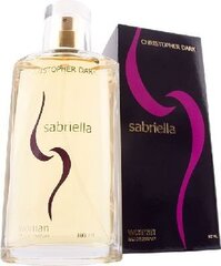 Parfüümvesi Christopher Dark Woman Sabriella EDP naistele 100 ml цена и информация | Духи для Нее | hansapost.ee