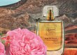 Naturaalne parfüümvesi L'Essence des Notes "Rose de Kelaâ", 50ml цена и информация | Parfüümid naistele | hansapost.ee