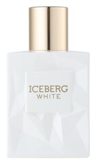 Туалетная вода Iceberg White для женщин EDT 100 мл цена и информация | Женские духи | hansapost.ee
