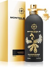 Parfüümvesi Montale Paris Oudrising EDP naistele/meestele 100 ml hind ja info | Montale Parfüümid, lõhnad ja kosmeetika | hansapost.ee