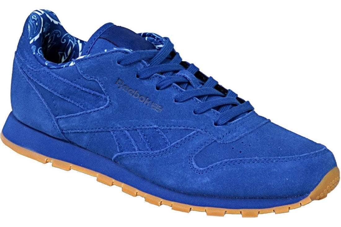 Laste tossud Reebok Classic Leather TDC JR BD5052 (56302) hind ja info | Spordijalatsid lastele | hansapost.ee