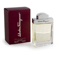 Tualettvesi Salvatore Ferragamo Pour Homme EDT meestele 100 ml hind ja info | Parfüümid meestele | hansapost.ee