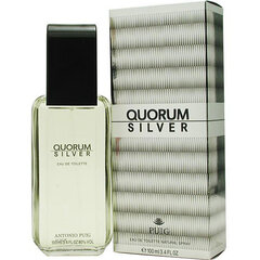 Tualettvesi Antonio Puig Quorum Silver EDT meestele 100 ml цена и информация | Духи для Него | hansapost.ee