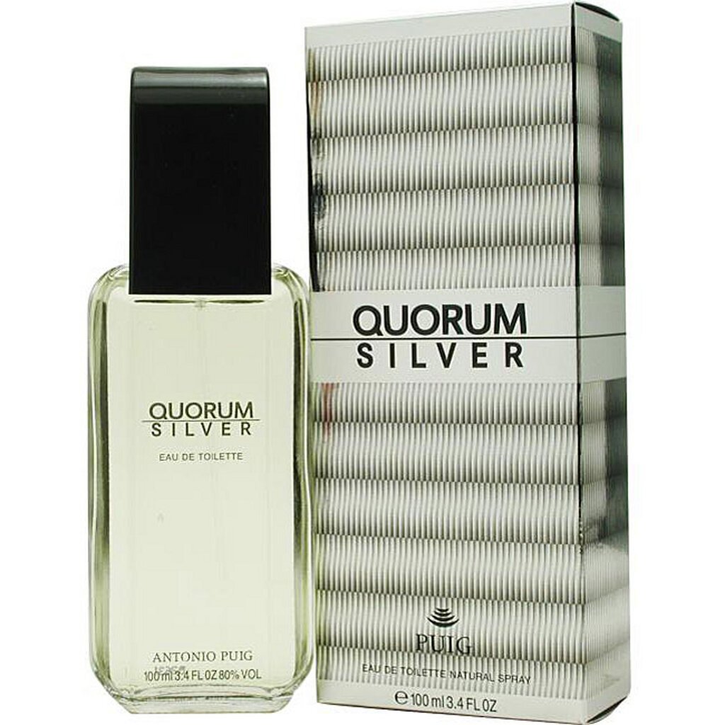 Tualettvesi Antonio Puig Quorum Silver EDT meestele 100 ml hind ja info | Parfüümid meestele | hansapost.ee