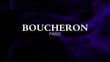 Boucheron Jaipur Pour Homme EDP meestele 100 ml hind ja info | Parfüümid meestele | hansapost.ee