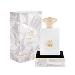 Amouage Honour Man EDP meestele 100 ml price and information | Parfüümid meestele | hansapost.ee