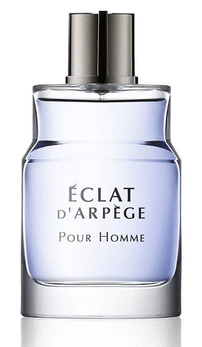 Lanvin Eclat D´Arpege Pour Homme EDT meestele 50 ml hind ja info | Parfüümid meestele | hansapost.ee