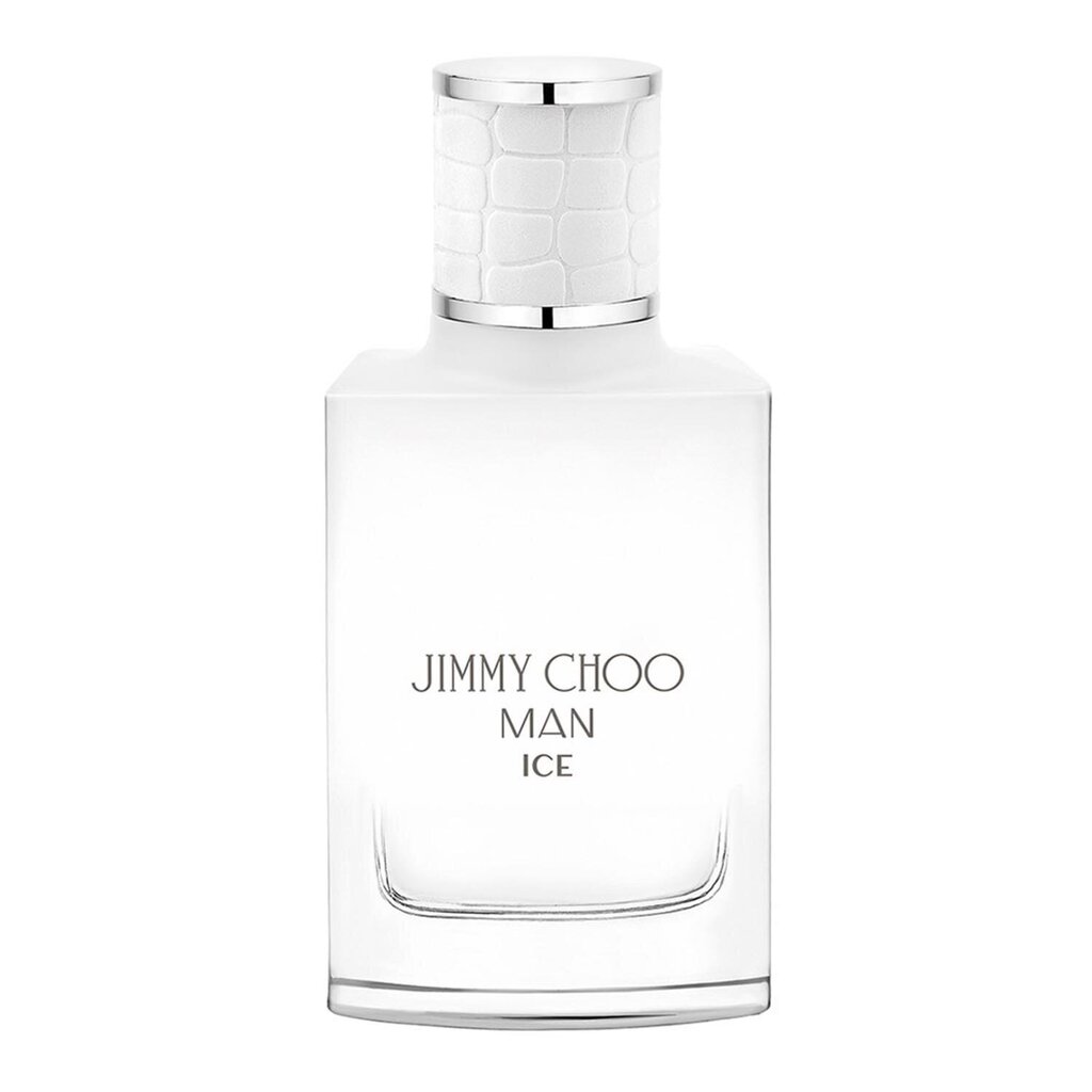 Jimmy Choo Man Ice EDT meestele 30 ml hind ja info | Parfüümid meestele | hansapost.ee