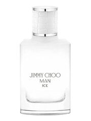 Мужская парфюмерия Man Ice Jimmy Choo (30 ml) EDT цена и информация | Мужские духи | hansapost.ee