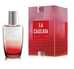 Vittorio Bellucci La Cascata Red Fire EDT meestele 100 ml hind ja info | Parfüümid meestele | hansapost.ee