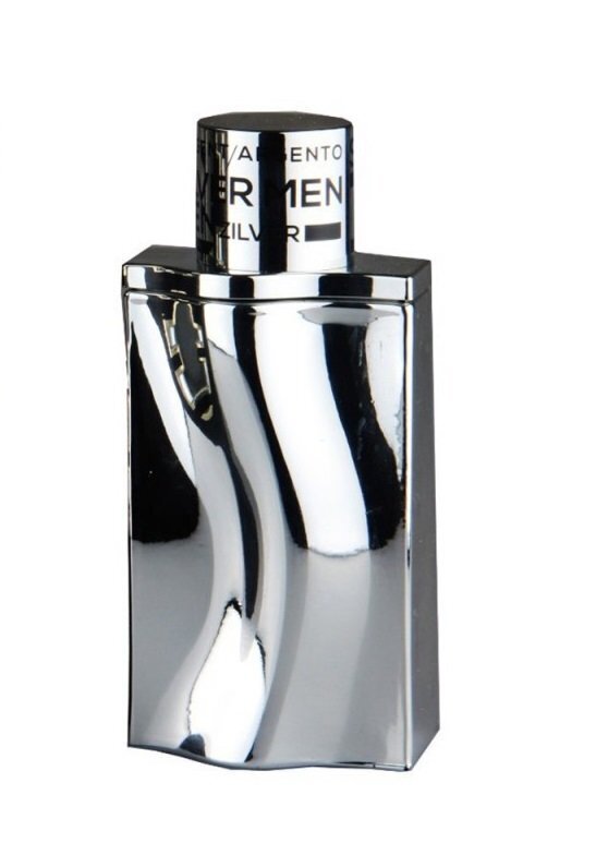 Lõhnavesi meestele Georges Mezotti Silver Men EDT 100 ml цена и информация | Parfüümid meestele | hansapost.ee