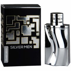 Lõhnavesi meestele Georges Mezotti Silver Men EDT 100 ml hind ja info | Parfüümid meestele | hansapost.ee