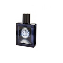 Tualettvesi Omerta Silver Ocean EDT meestele 100 ml цена и информация | Мужские духи | hansapost.ee