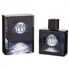 Tualettvesi Omerta Silver Ocean EDT meestele 100 ml цена и информация | Мужские духи | hansapost.ee