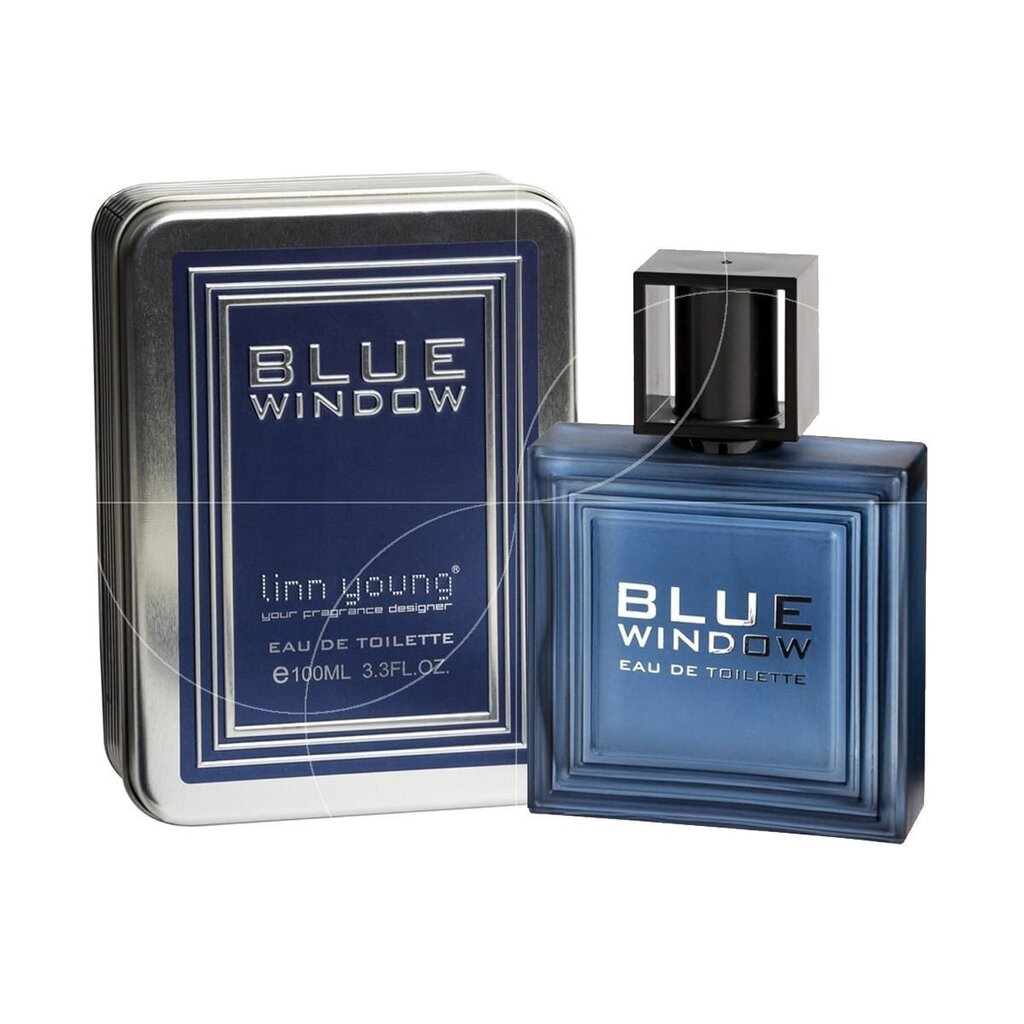 Tualettvesi meestele Linn Young Blue Window EDT 100 ml цена и информация | Parfüümid meestele | hansapost.ee