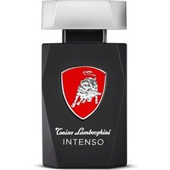 Tualettvesi Tonino Lamborghini Intenso EDT meestele 125 ml hind ja info | Parfüümid meestele | hansapost.ee