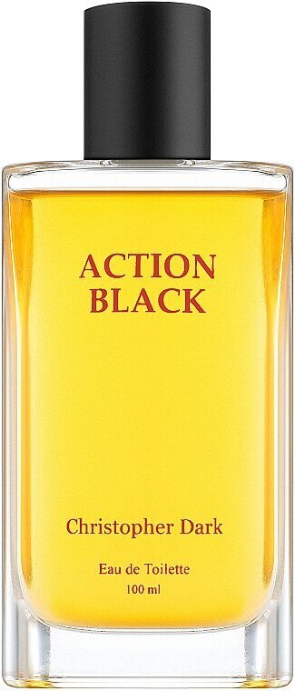 Tualettvesi Christopher Dark Action Black EDT meestele, 100 ml цена и информация | Parfüümid meestele | hansapost.ee