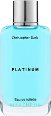 Tualettvesi Christopher Dark Platinum EDT meestele 100 ml цена и информация | Духи для Него | hansapost.ee