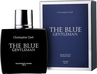 Tualettvesi Christopher Dark Blue Gentelmen EDT meestele, 100 ml hind ja info | Parfüümid meestele | hansapost.ee