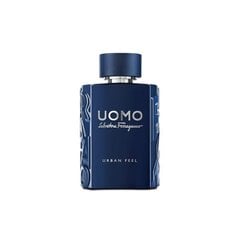 Tualettvesi Salvatore Ferragamo Uomo Urban Feel EDT meestele, 50 ml hind ja info | Parfüümid meestele | hansapost.ee