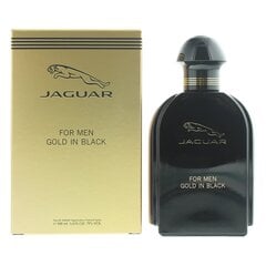 Jaguar For Men Gold in Black EDT meestele 100 ml hind ja info | Parfüümid meestele | hansapost.ee