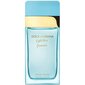 Parfüüm Dolce & Gabbana Ladies Light Blue Forever EDP naistele, 100 ml hind ja info | Parfüümid meestele | hansapost.ee