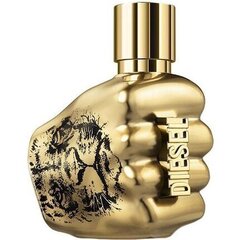 Parfüümvesi Diesel Spirit Of The Brave Intense EDP meestele, 50 ml hind ja info | Parfüümid meestele | hansapost.ee