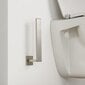Harjatud terasest tualettpaberi hoidja vannituppa „Tiger Items“ цена и информация | Vannitoa aksessuaarid | hansapost.ee