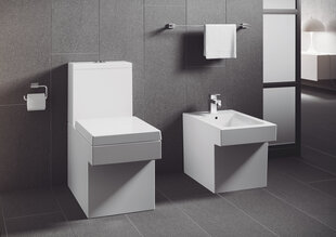 Grohe Essentials Cube tualettpaberi hoidik hind ja info | Vannitoa aksessuaarid | hansapost.ee