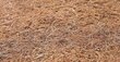 Sensillo beebimadrats tatar-poroloon-kookos 140 x 70 cm hind ja info | Madratsid | hansapost.ee