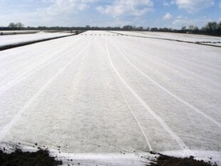 Külmumisvastane agrokile 1.6 x10 m hind ja info | Pole täpsustatud Aiakaubad | hansapost.ee