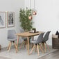 2 tooli komplekt Dima G, hall/pruun hind ja info | Köögitoolid, söögitoolid | hansapost.ee