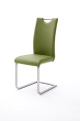 4 tooli komplekt Paulo, roheline hind ja info | Köögitoolid, söögitoolid | hansapost.ee