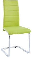 Комплект из 2-х стульев Amber, зеленый цена и информация | Стулья для кухни и столовой | hansapost.ee