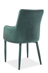 4 tooli komplekt Ricardo Velvet, roheline hind ja info | Signal Meble Mööbel ja sisustuskaubad | hansapost.ee