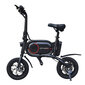 Elektrijalgratas Cityway Milo 12'' 350W, 25 km / h, must hind ja info | Elektrijalgrattad | hansapost.ee