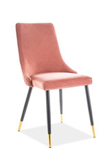 Комплект из 2-х стульев Signal Meble Piano, розовый цена и информация | Стулья для кухни и столовой | hansapost.ee